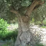La Carruba
