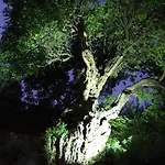 La Carruba