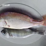 La Carruba