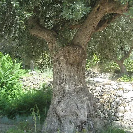 La Carruba
