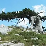 La Carruba