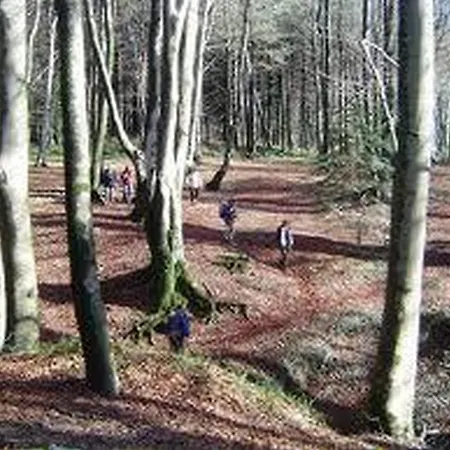 La Carruba 3* Четраро
