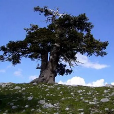 La Carruba ホテル 3*