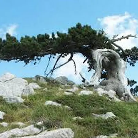 La Carruba